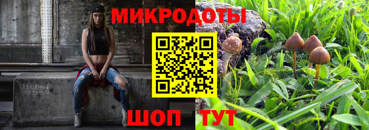Большой Камень  Псилоцибиновые грибы Psilocybe  Вход с VPN 